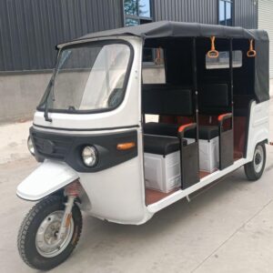 Three rows of nine-seater pull-coaches