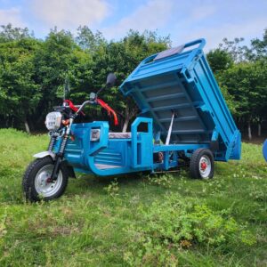 Electric Loader