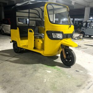 Electric Tricycle