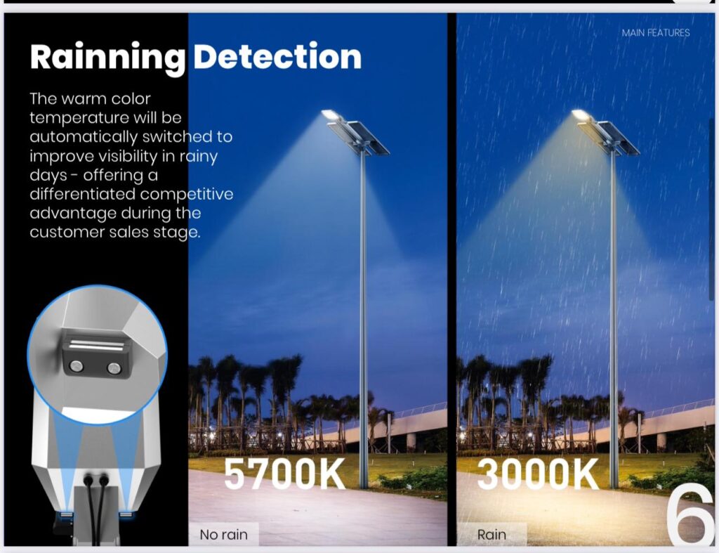 WhatsApp Image 2024-12-10 at 4.38.24 PM (1)