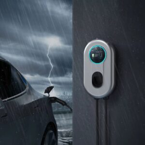 WhatsApp Image 2025-01-16 at 7.31.27 PM